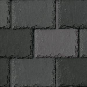 790 Coachman Aledora Mix