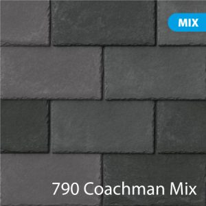 790 Coachman Mix