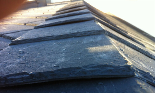 Hip Caps (insullite)